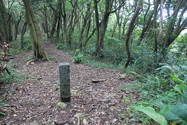 1020å…§å¯®å¤é“-ç‘ªç¤å¤é“ (63).JPG