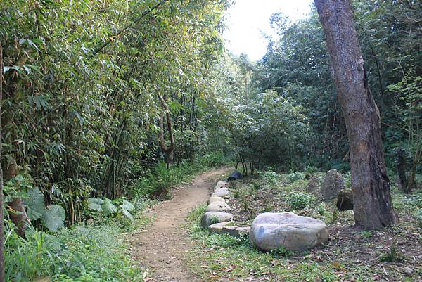 1208四寮溪步道打牛崎登山古道 (5).JPG