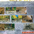 1208四寮溪步道打牛崎登山古道 (11).JPG