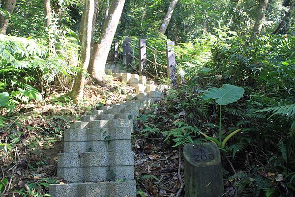 1208四寮溪步道打牛崎登山古道 (45).JPG