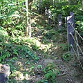 1208四寮溪步道打牛崎登山古道 (46).JPG