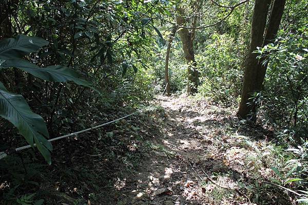 1208四寮溪步道打牛崎登山古道 (68).JPG