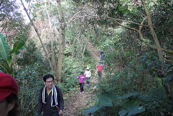 1208四寮溪步道打牛崎登山古道 (73).JPG