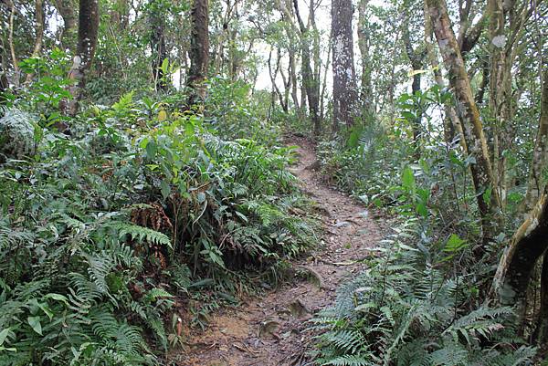 1222石門水庫欣溪州山 (24).JPG