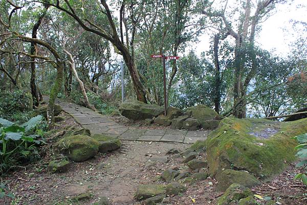 1222石門水庫欣溪州山 (54).JPG