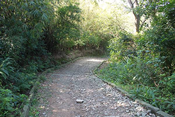 0119觀音山硬漢嶺 (39).JPG