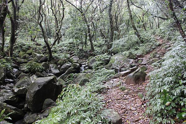 0216荷蘭古道上高頂山 (11).JPG