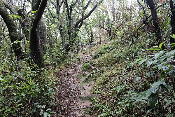 0216荷蘭古道上高頂山 (20).JPG