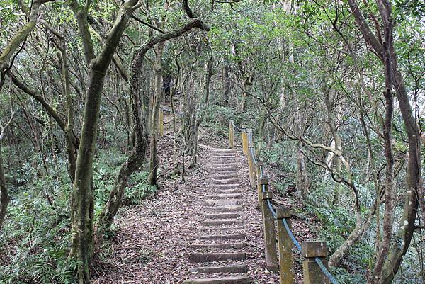 0222新店獅仔頭山 (10).JPG