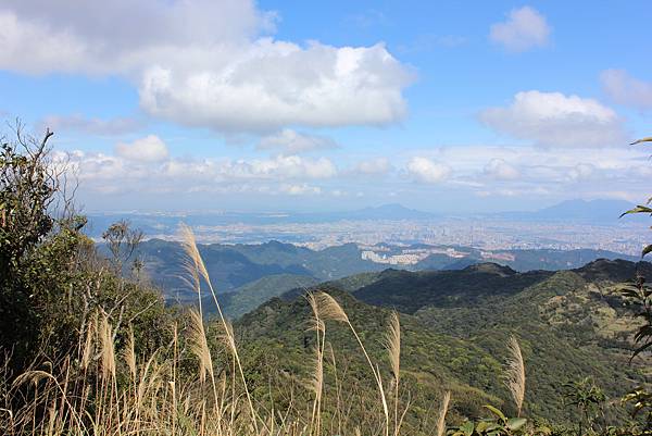 0222新店獅仔頭山 (37).JPG