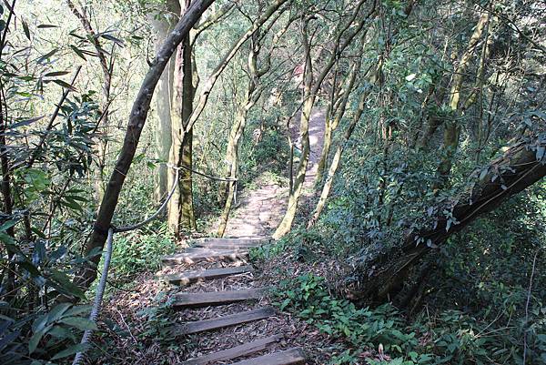 0228雲洞山莊出關古道東段 (30).JPG