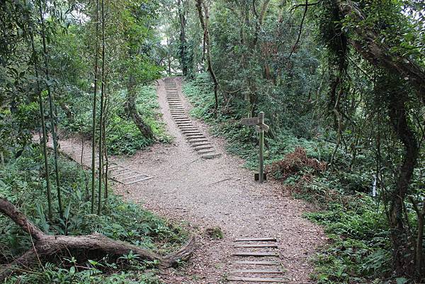 0228雲洞山莊出關古道東段 (41).JPG