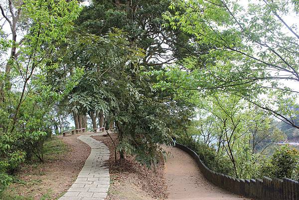 0228雲洞山莊出關古道東段 (43).JPG