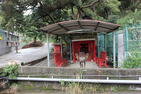 0309龜山大坑桐花步道陳厝坑山 (36).JPG