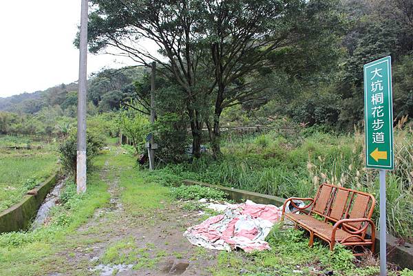 0309龜山大坑桐花步道陳厝坑山 (39).JPG