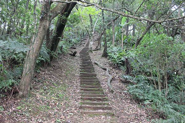 0330千階番山仔坑山 (10).JPG