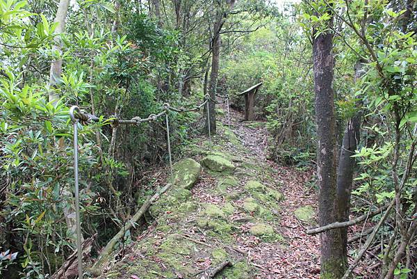 0330千階番山仔坑山 (15).JPG