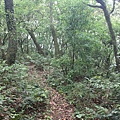 0420小觀音山西峰 (24).JPG