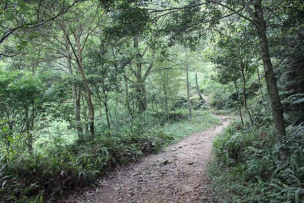 木柵二格山 (11).JPG