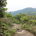 0525獅頭山翠山步道碧溪步道及大崙尾山 (49).JPG