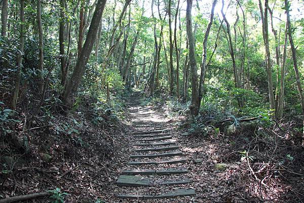 0823三角山雙峰山綜走 (9).JPG