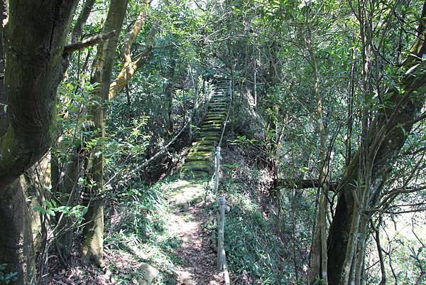 0823三角山雙峰山綜走 (40).JPG