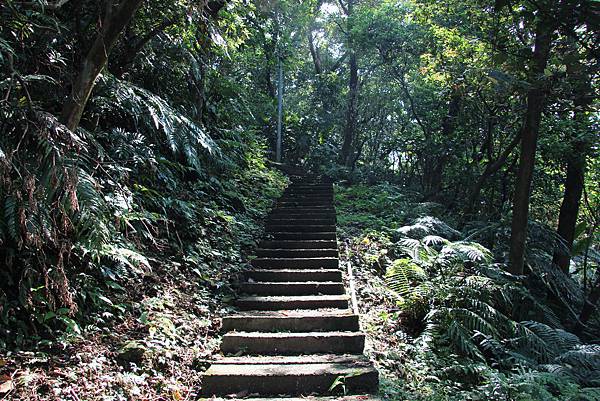 0831土城天上山 (17).JPG