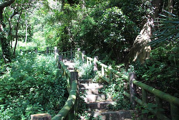 0906貴子坑小坪頂山登山步道 (8).JPG