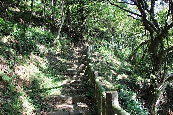 0906貴子坑小坪頂山登山步道 (10).JPG