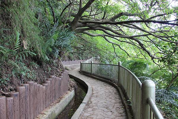 0906貴子坑小坪頂山登山步道 (39).JPG