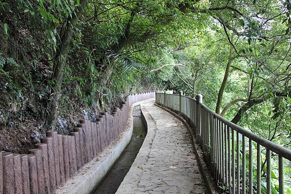 0906貴子坑小坪頂山登山步道 (40).JPG