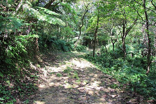 0913土城五城山 、文筆山(10).JPG