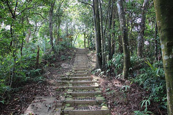 0913土城五城山 、文筆山(18).JPG