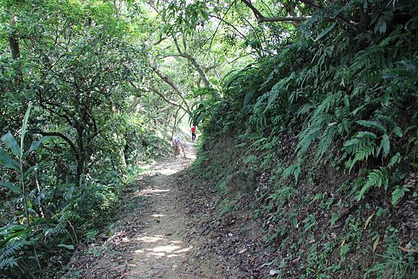 0913土城五城山 、文筆山(32).JPG