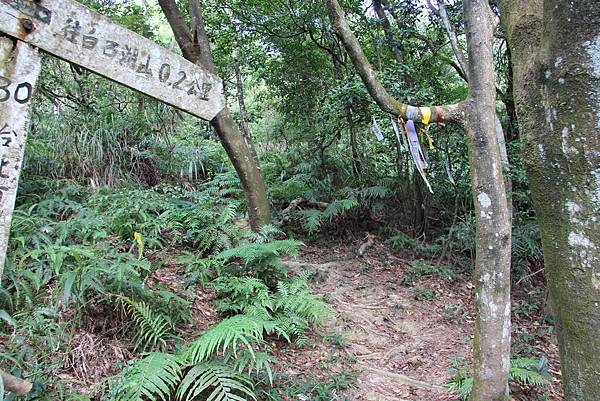 0920內湖龍船岩、開眼山、白石湖山 (35).JPG