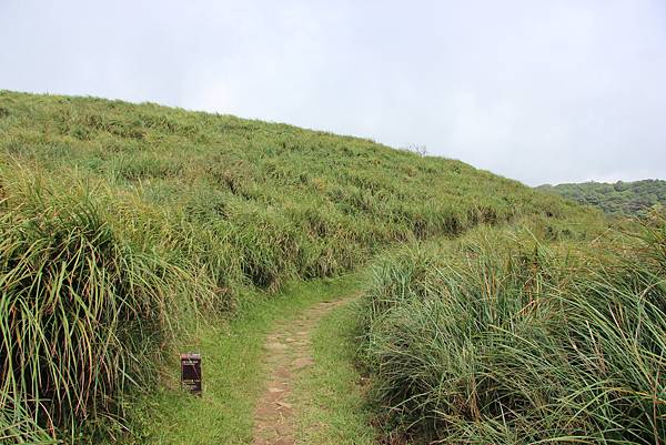 0928風櫃嘴-頂山 (14).JPG