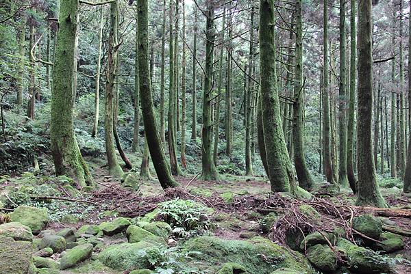 0928風櫃嘴-頂山 (25).JPG