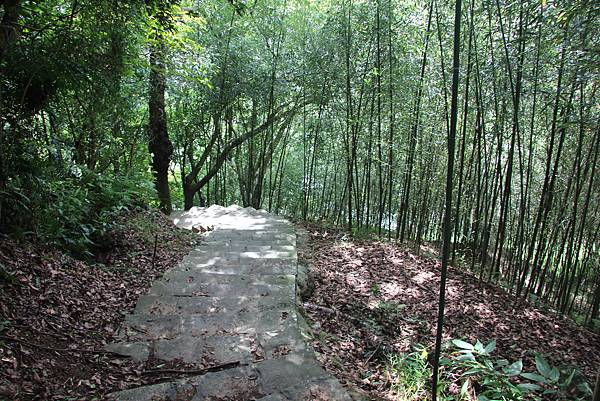 1005坪頂古圳、鵝尾山 (59).JPG