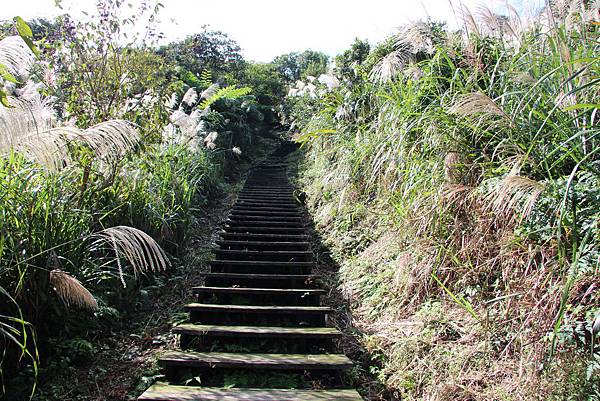 1122瑞芳琉榔路步道小粗坑古道 (44).JPG