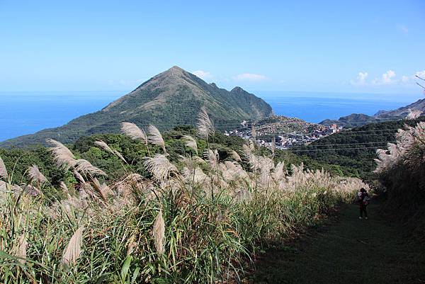 1122瑞芳琉榔路步道小粗坑古道 (57).JPG