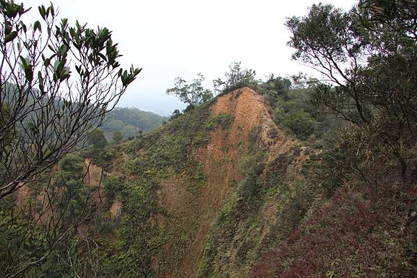 0118三義火焰山 (14).JPG