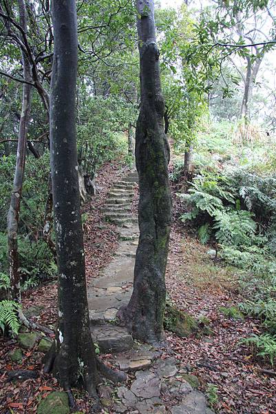 0131善息寺至天上山 (18).JPG