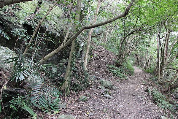 0207三峽雲森瀑布 (5).JPG