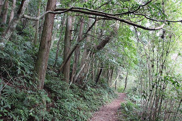 0207三峽雲森瀑布 (11).JPG