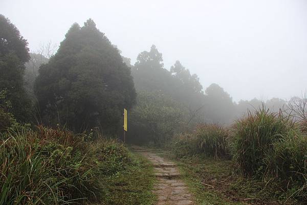 0227風櫃口至擎天崗 (13).JPG