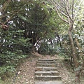 0315貴子坑親山步道 (24).jpg