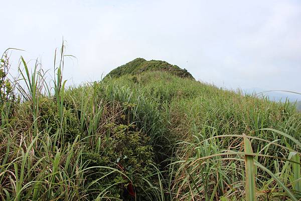 0418燦光寮山不厭亭 (27).JPG