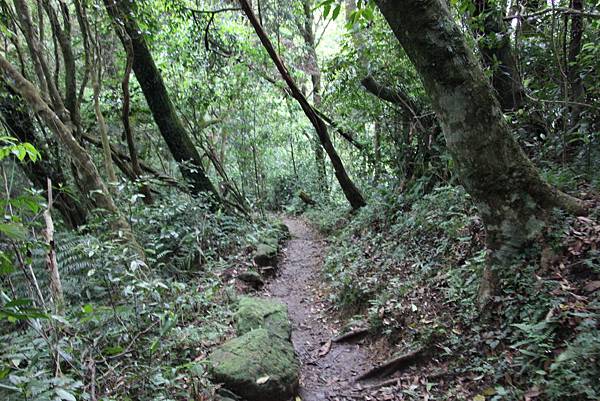 0419語大學同學登二格山 (40).JPG