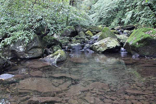 0425新圳頭山、坪頂古圳 (40).JPG