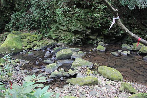 0425新圳頭山、坪頂古圳 (52).JPG